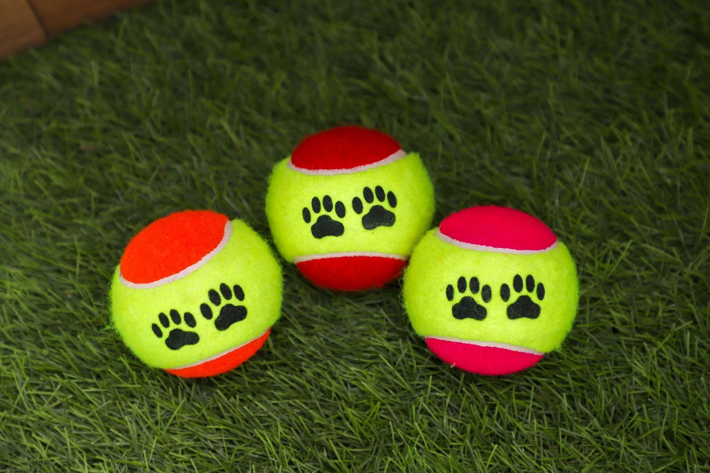 Three Walls pet tennis balls with paw-print branding on grass